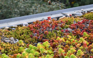 the cost of Carnbo green roof installation