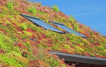 Carnbo living roof systems