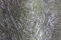 Carnbo fibreglass roof work